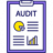 audit report