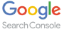 google console search